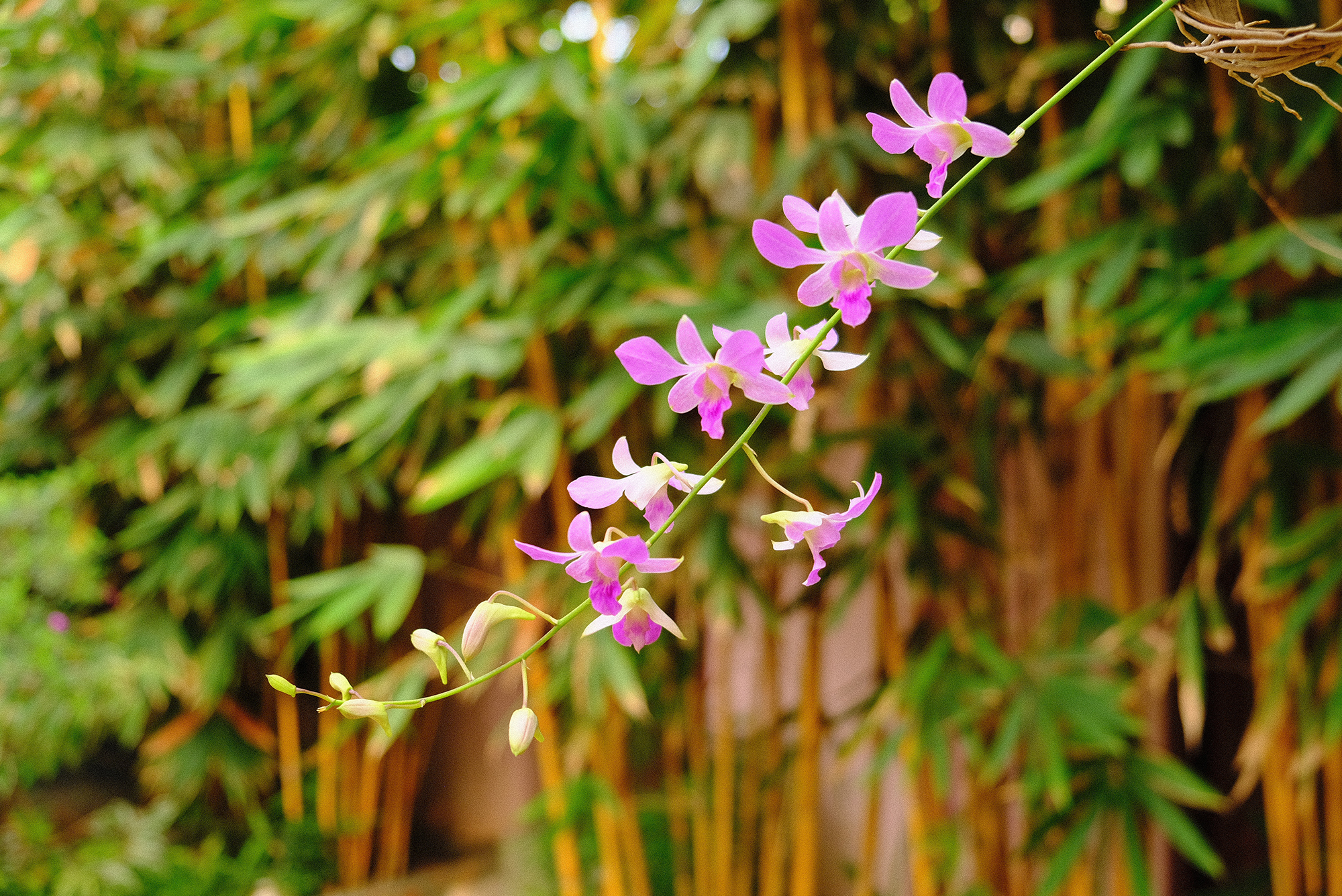 芦屋スピリチュアルあまら　先生の世界の影響をなんとかする方法