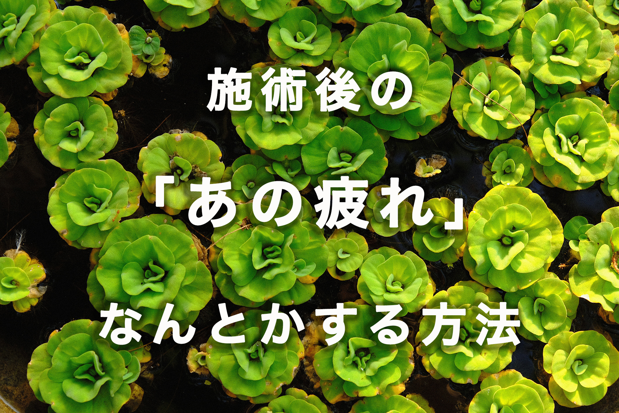 「できる」セラピストは知っている