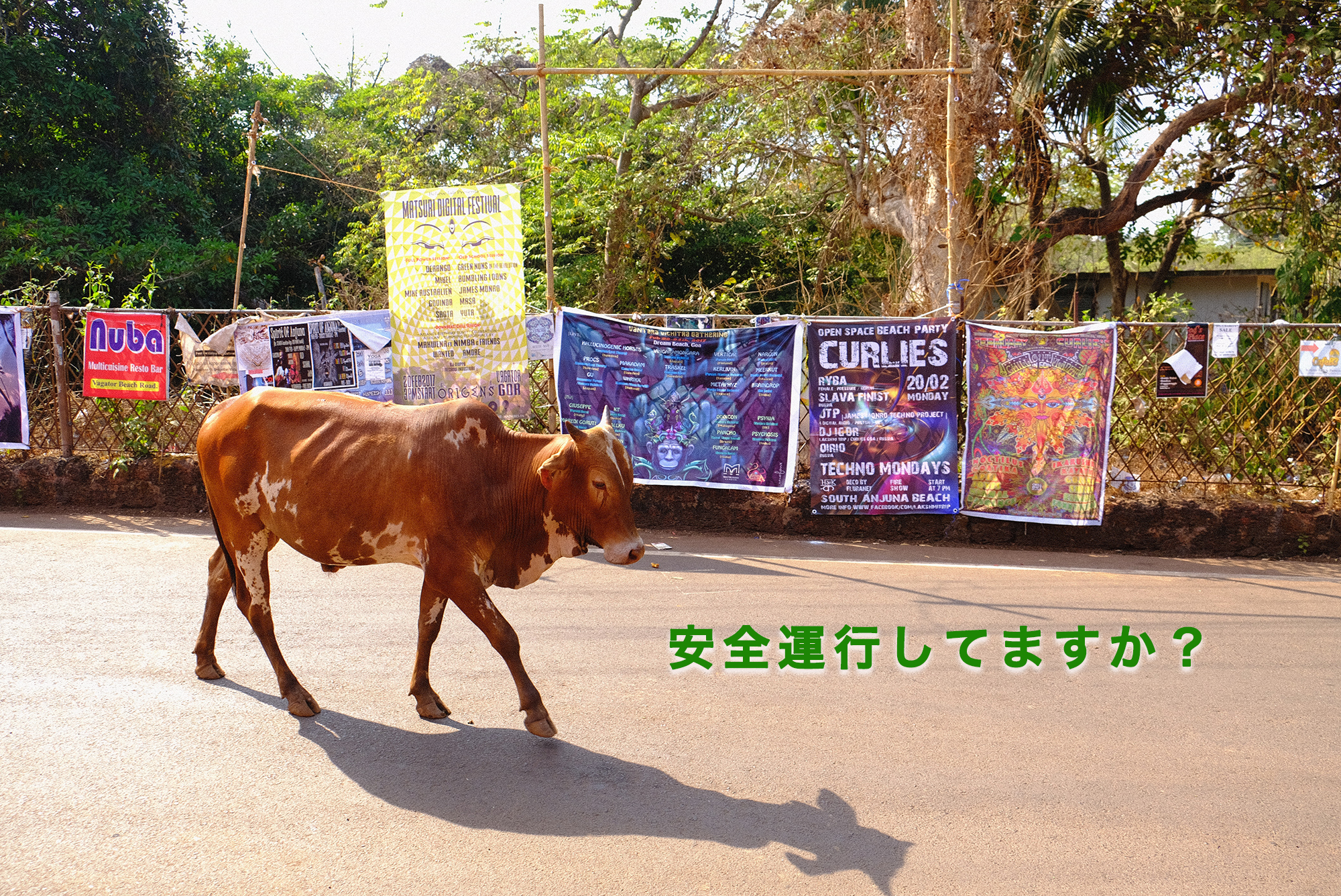 浄化からの安全運行